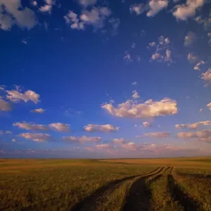 Cumulus clouds above grazing range Cumulus clouds above grazing range
