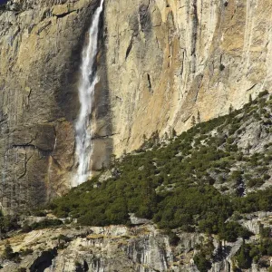 Yosemite Village Curry Print Yosemite Village Curry Print