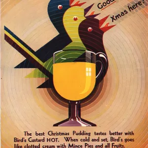 Custard Christmas Design
