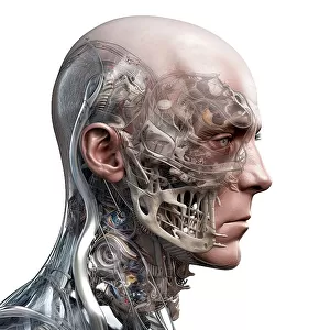 Cyborg head, illustration