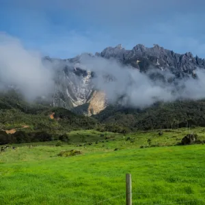 Dairy farm in Kundasang, Sabah