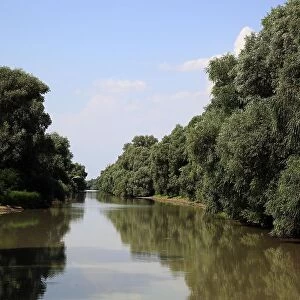 Danube Delta Biosphere Reserve, near Tulcea, Romania