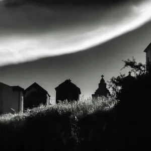 Dark Shadows Dark Shadows