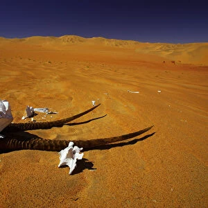 day, desert, desolation, dunes, horizontal, landscape, namibia, nature, no people