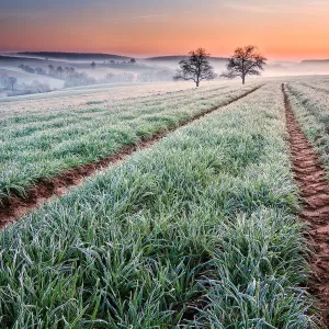 Daybreak spring in Kraichgau Daybreak spring in Kraichgau