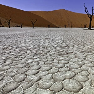 Dead Vlei in Sussusvlei, Namibia
