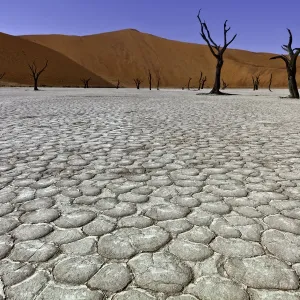 Dead Vlei in Sussusvlei, Namibia Dead Vlei in Sussusvlei, Namibia