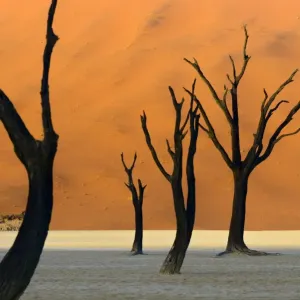 Deadvlei #3 Deadvlei #3