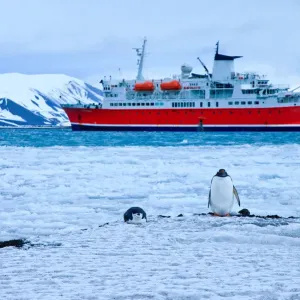 Deception Island Whalers Bay Print Deception Island Whalers Bay Print