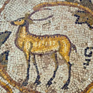 Deer Mosaic Print, Bulla Regia Archaeological Site