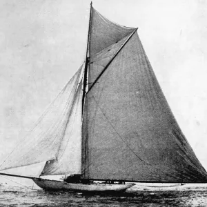 Print of Defender, victorious America's Cup winner in 1895 Print of Defender, victorious America's Cup winner in 1895