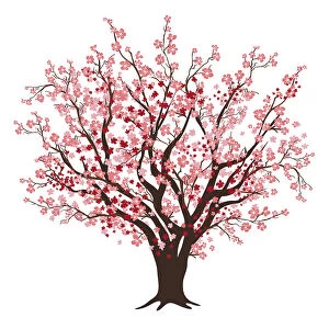 Delicate Cherry Blossom Tree Illustration