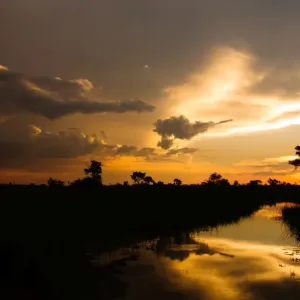 Tramonto del Delta. Tramonto del Delta.