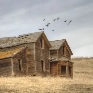 A derelict ranch in a prairie setting A derelict ranch in a prairie setting