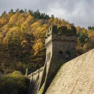 Derwent Dam Autumn Print
