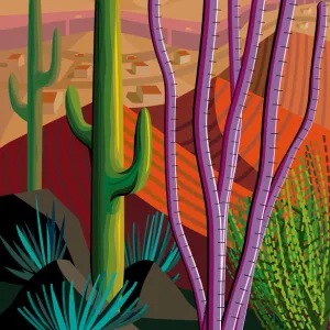 Desert, Cactus, Mountains Landscape Illustration