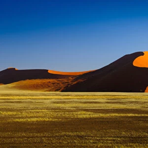 Desert Dunes at Sunset