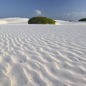 Desert landscape, Parque Nacional dos Lencois Maranhenses or Lencois Maranhenses National Park, Maranhao, Brazil