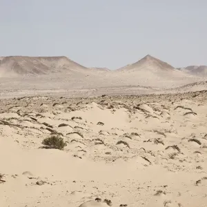 Deserto con arbusti e colline, Dakhla, Sahara Occidentale, Marocco. Deserto con arbusti e colline, Dakhla, Sahara Occidentale, Marocco.