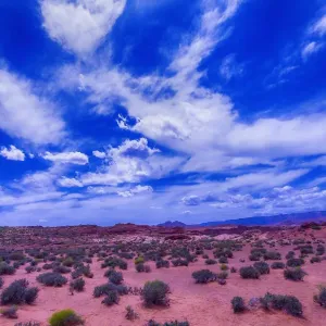 Desert Sky Desert Sky