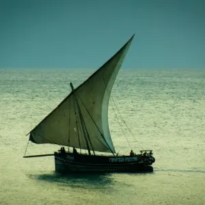 La dhow al tramonto. La dhow al tramonto.