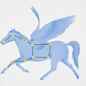 A diagram illustrating the constellation of Pegasus complete with image of a winged horse