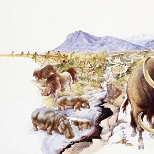 Different types of mammals gathered together on rugged landscape