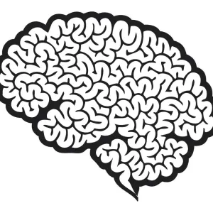Digital Cartoon of Human Brain Cerebrum Print Digital Cartoon of Human Brain Cerebrum Print