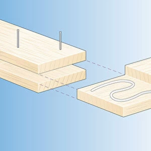 Digital Illustration of bridle joint in wood