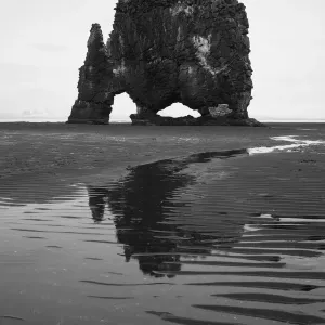 Hvitserkur Dinosaur Rock Print Hvitserkur Dinosaur Rock Print