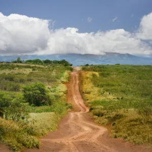 Dirt road through landscape