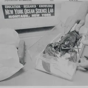 Images Dated 1975 August: 9 Aug 1975