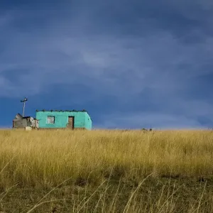 Distant view of a small traditional flat house under blue sky and surrounded by golden wavy grass, Coffee Bay, Eastern Cape province, South Africa Distant view of a small traditional flat house under blue sky and surrounded by golden wavy grass, Coffee Bay, Eastern Cape province, South Africa