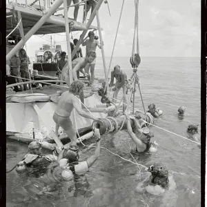 Images Dated 1975 July: 20 Jul 1975