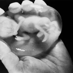 Images Dated 1971 March: 26 Mar 1971