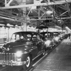 Dodge Plant Dodge Plant