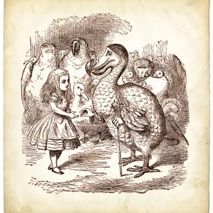 The Dodo and Alice in Wonderland The Dodo and Alice in Wonderland