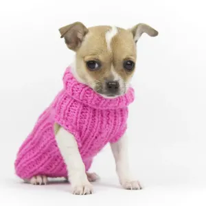 Dog with coat Dog with coat
