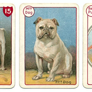 Three dog playing cards Victorian animal families game