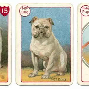 Meet the Dogs Chromolithograph Print Meet the Dogs Chromolithograph Print