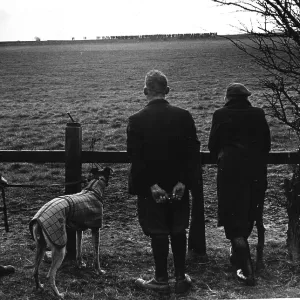 Dog Trainers Dog Trainers
