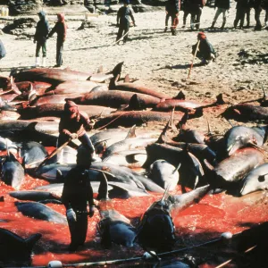 Images Dated 1980 March: 1 Mar 1980