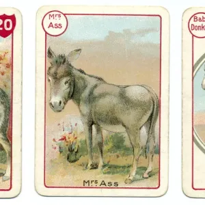Three Donkey Playing Cards Print, Chromolithography Three Donkey Playing Cards Print, Chromolithography