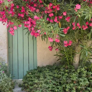Doorway St Michel L Observatoire, Provence, France