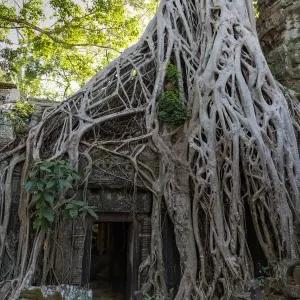 Ta Prohm Temple Overgrown Doorway Print