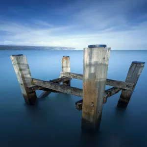 Dorset Blues