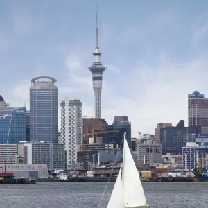 Downtown Auckland Print: Harbor View Skyline with the 328m Sky Tower Downtown Auckland Print: Harbor View Skyline with the 328m Sky Tower