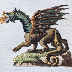 Dragon, hand-colored copper engraving from childrens picture book by Friedrich Justin Bertuch
