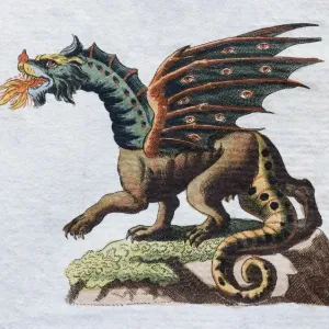 Dragon Hand-Colored Copper Engraving Print