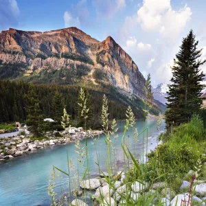 Dramatic Landscape with Flowers, Grass, Mountains and Water at Lake Louise